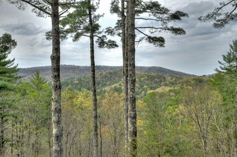 A home in Blue Ridge