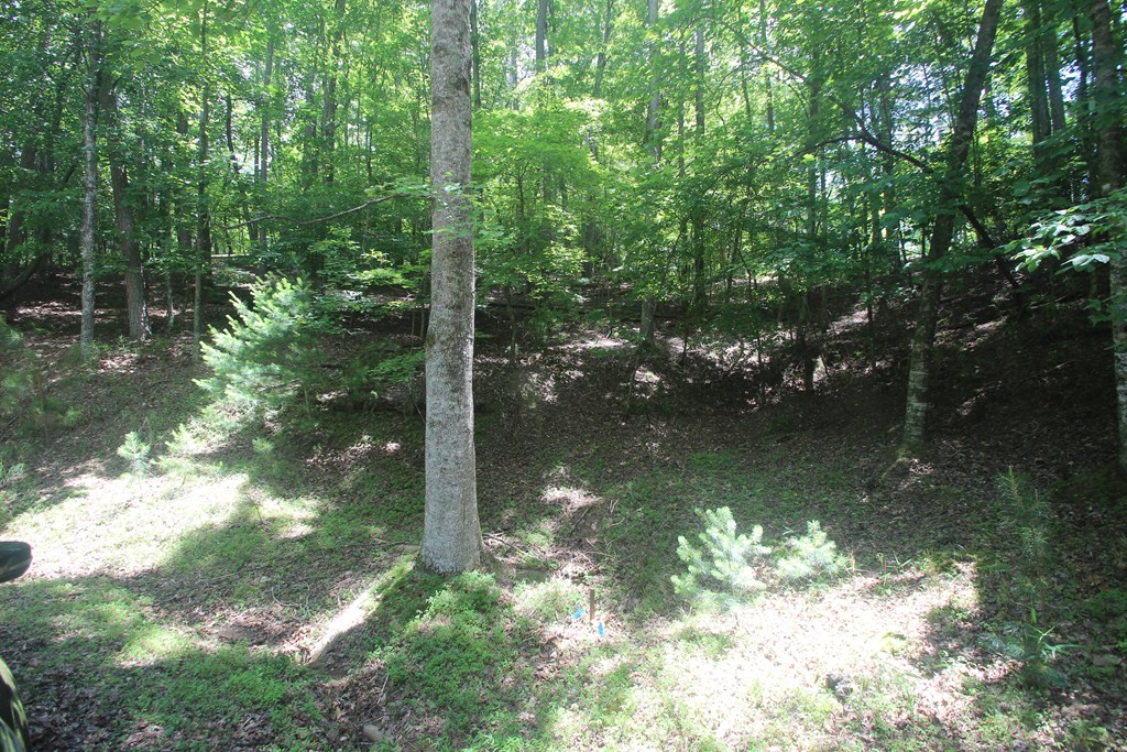 Lt 2628 Garnet Drive