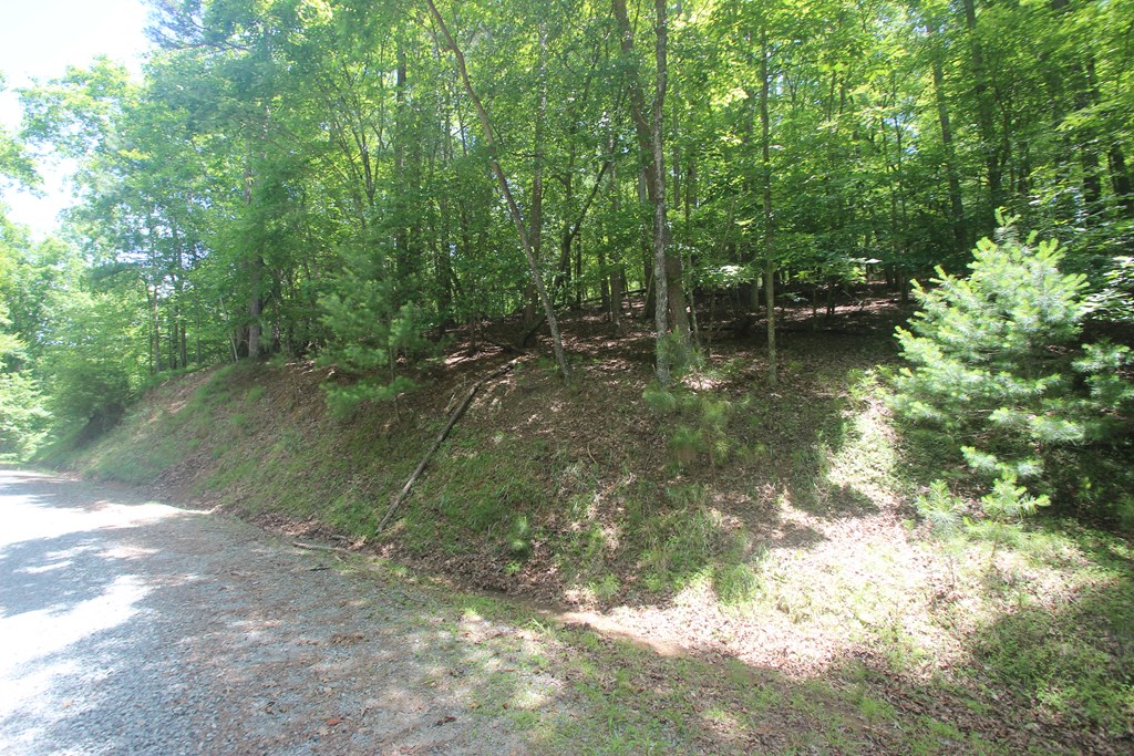 Lt 2628 Garnet Drive