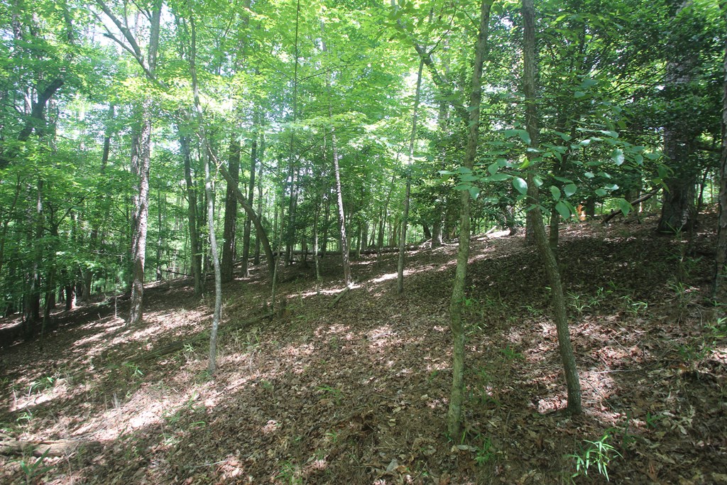 Lt 2628 Garnet Drive