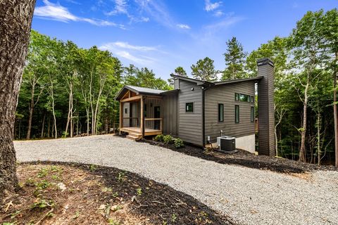 A home in Mineral Bluff