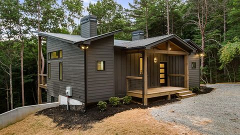 A home in Mineral Bluff