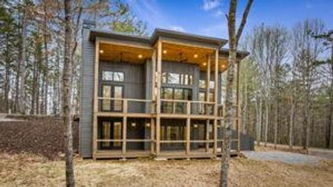 A home in Mineral Bluff