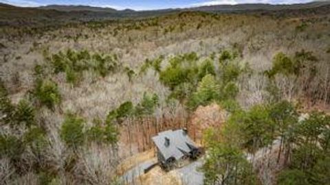 A home in Mineral Bluff