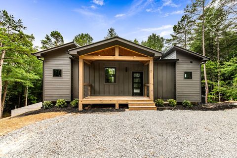 A home in Mineral Bluff