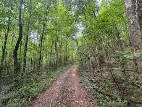 A home in Ellijay