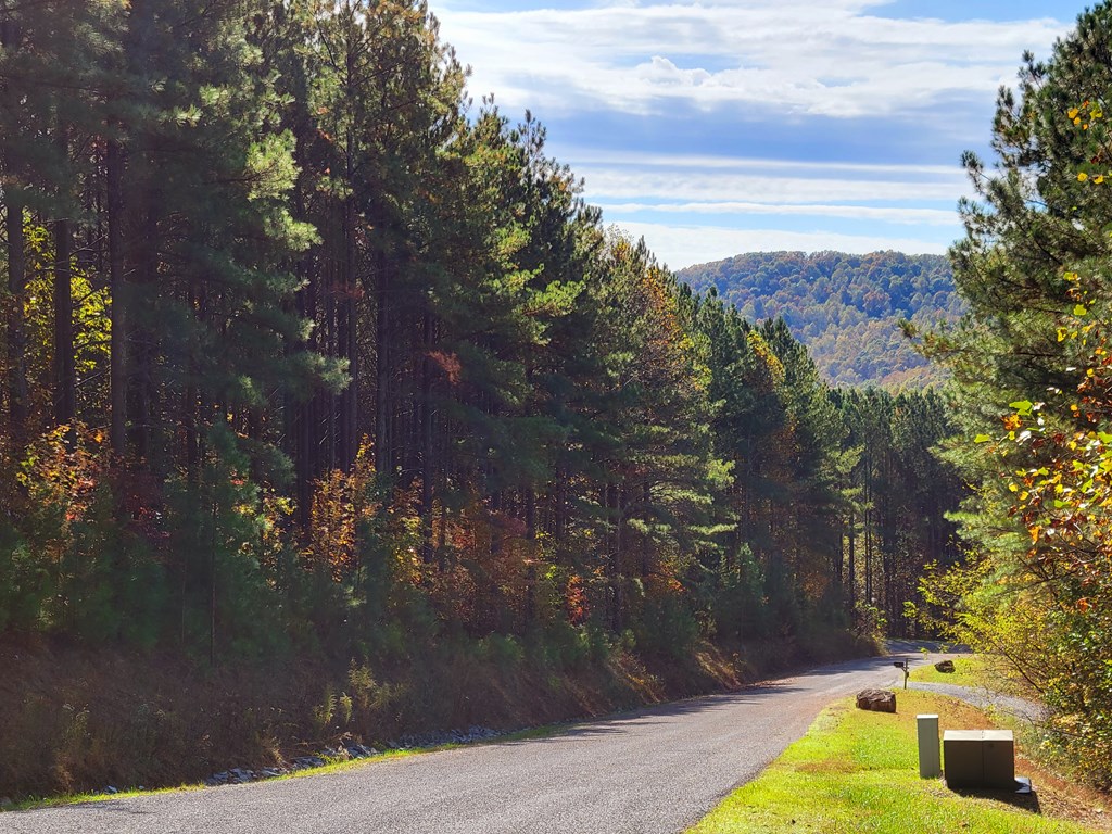LOT 6 Black Bear Ridge Road