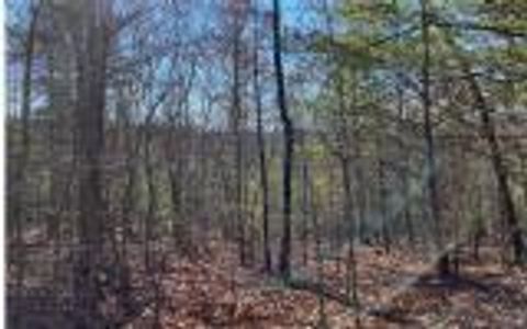 0 Ashlyn Court Morganton GA 30560