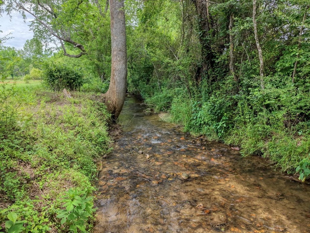233 Messer Rd (3)