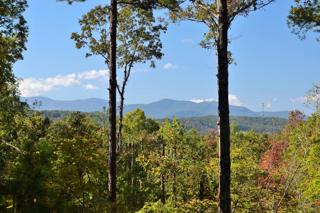 346 Ridge Brook Drive