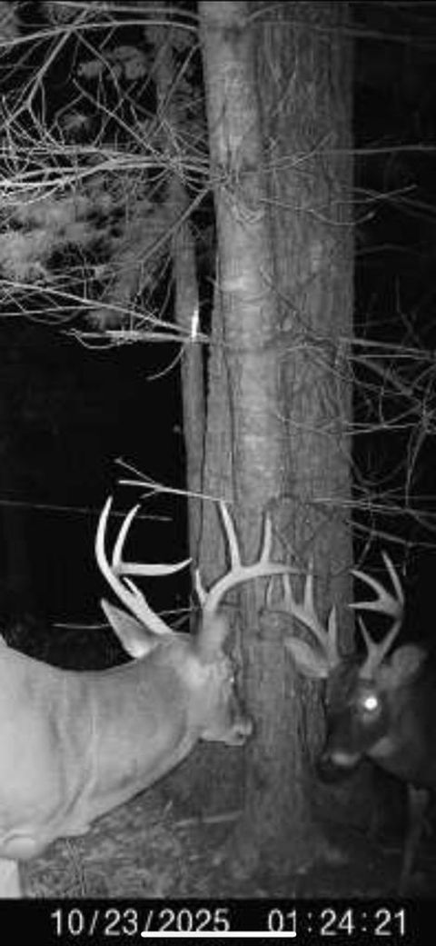 00 Culberson Ranch Murphy NC 28906