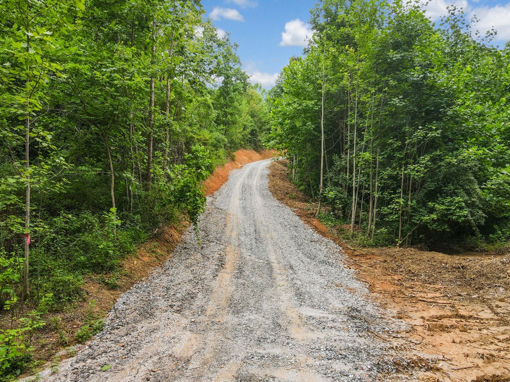 28.90 AC Tom Wheeler Road
