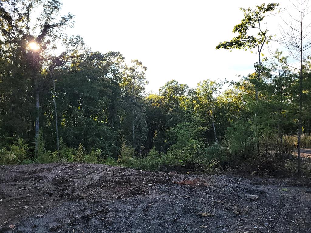 TRACT 4 Old Northcutt Road