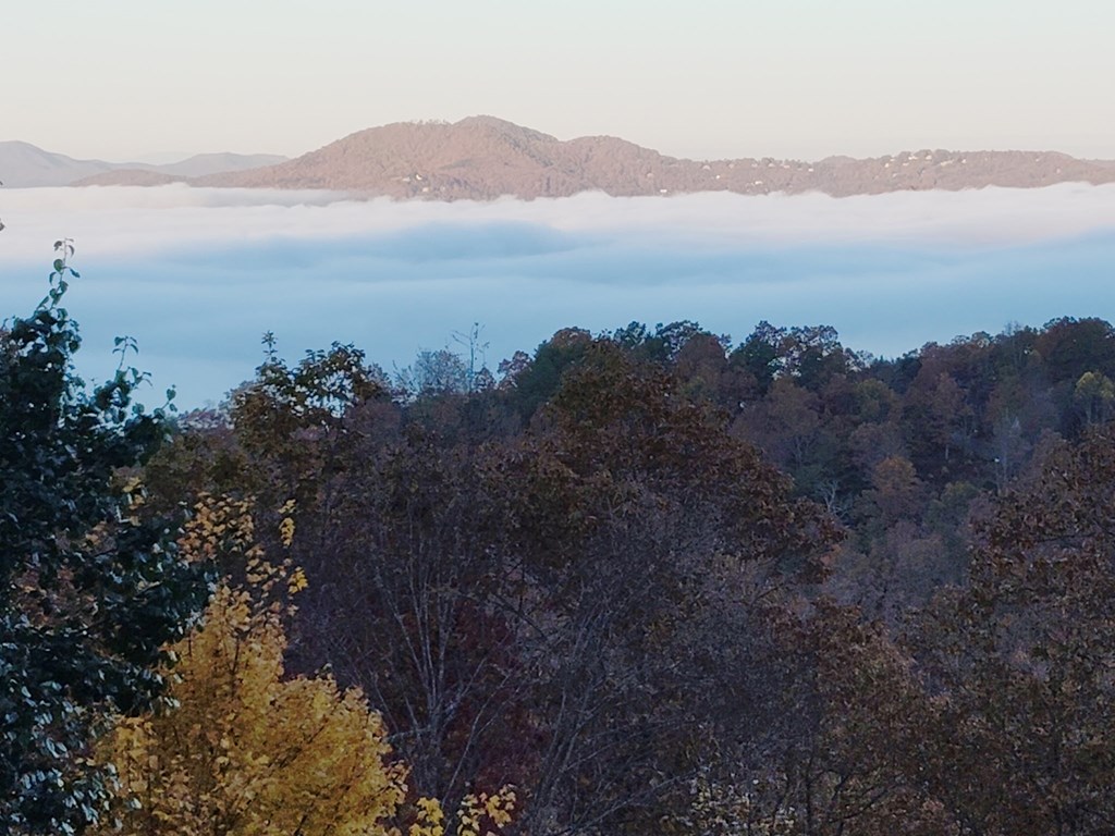 376 Broken Arrow Trail