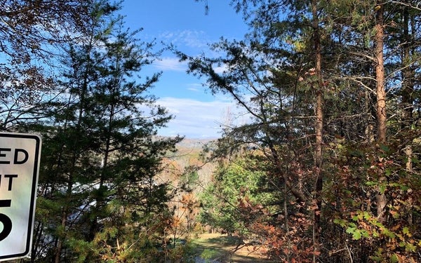 25 MOUNTAIN KNOLL LN, WARNE, NC 28909 - Image 77ea75ee7962e39d001a7eebeef44285/299059744