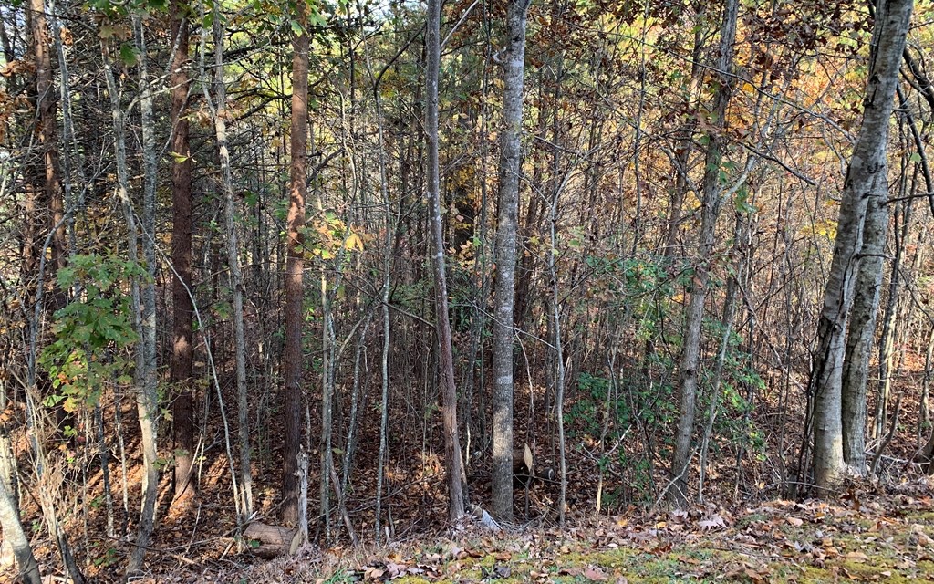 25 Mountain Knoll Lane