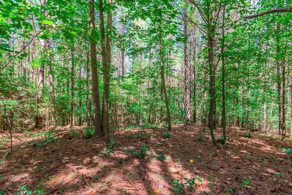 Lot 26 Foxpaw Leaf Lane
