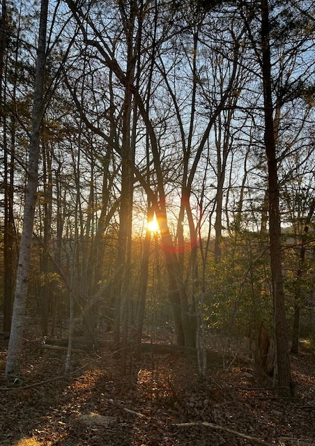 Lot 18 Hidden Branch Drive