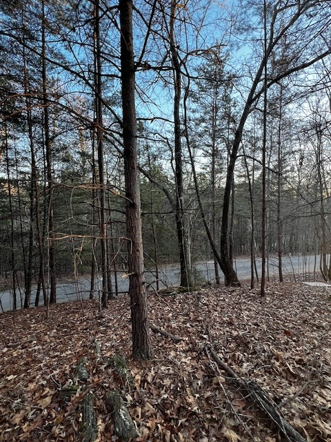 Lot 18 Hidden Branch Drive