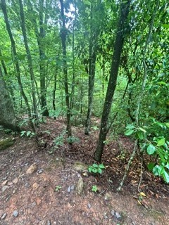 Lot 106 Pine Terrace Circle