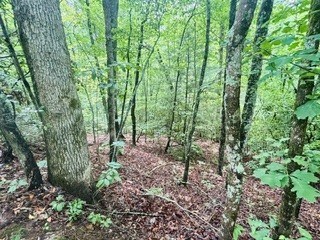 Lot 106 Pine Terrace Circle
