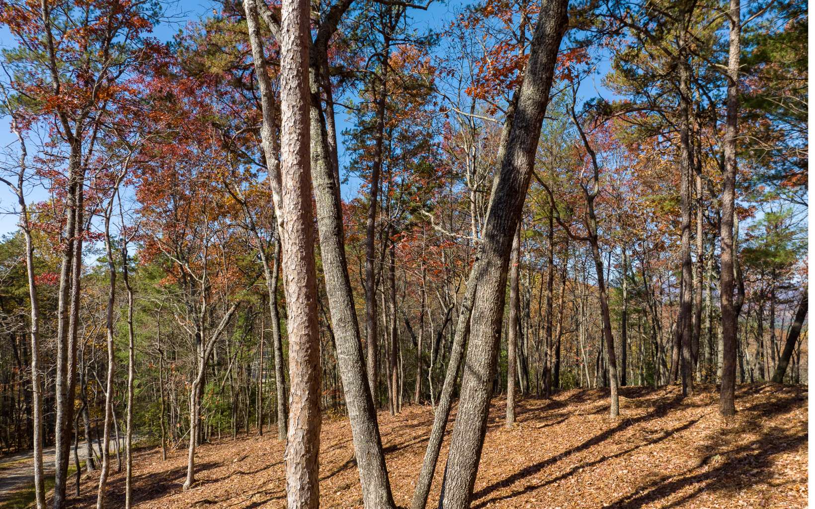 LOT 40 Preserve Trail