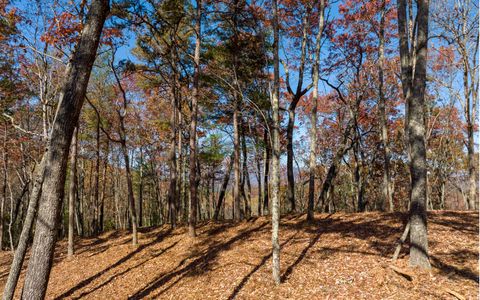 LOT 40 Preserve Trail Ellijay GA 30536