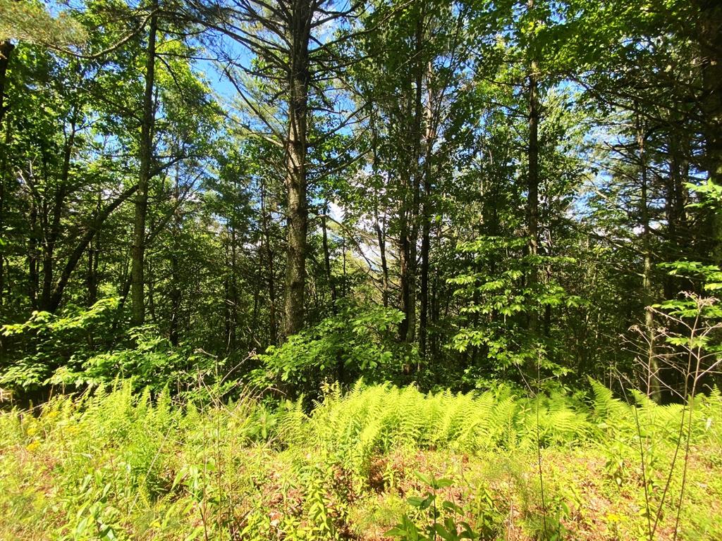 Lot 97 Choctaw Ridge Trail
