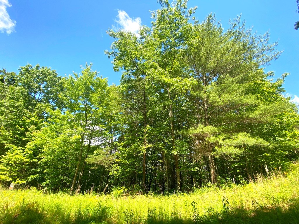 Lot 97 Choctaw Ridge Trail