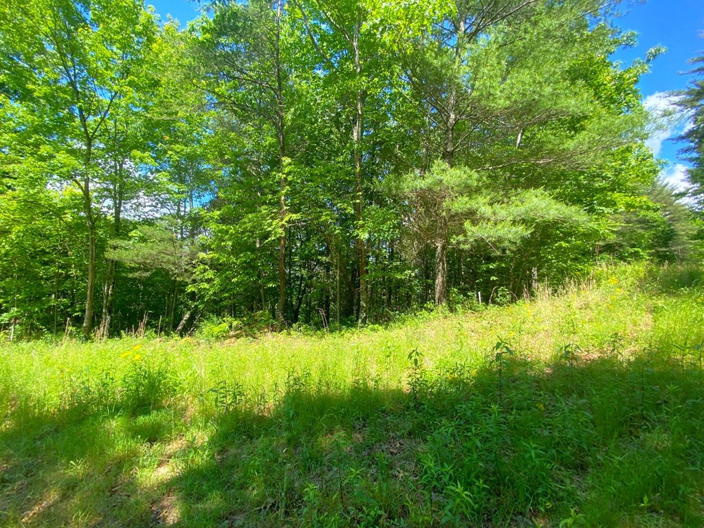 Lot 97 Choctaw Ridge Trail