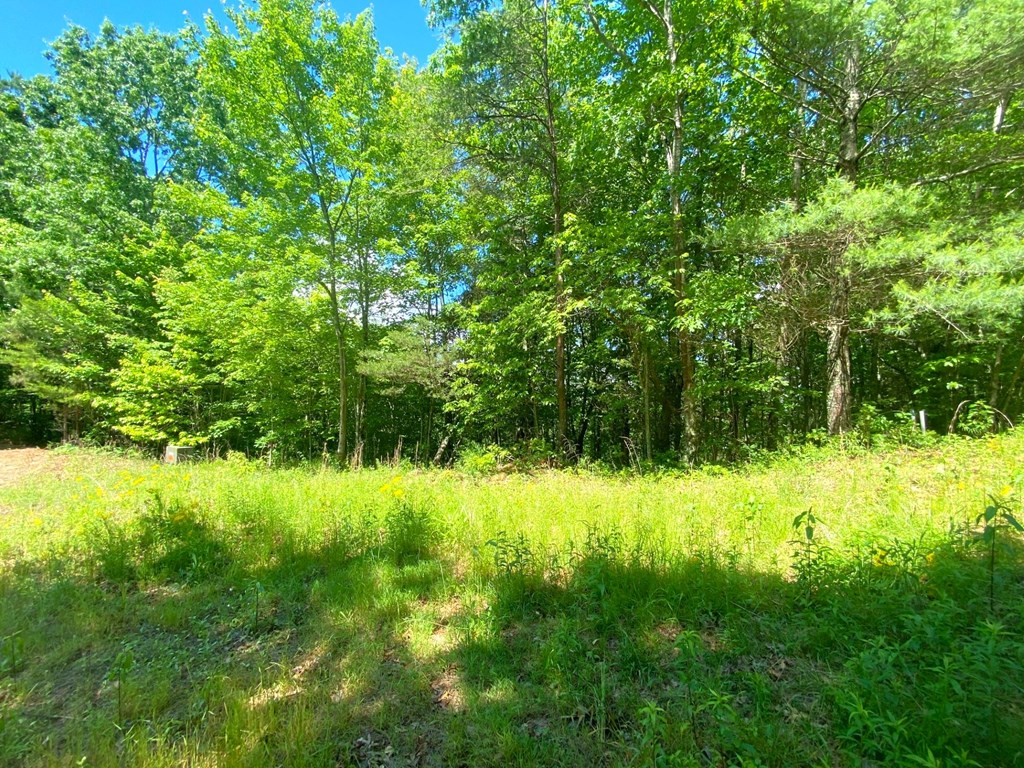 Lot 97 Choctaw Ridge Trail