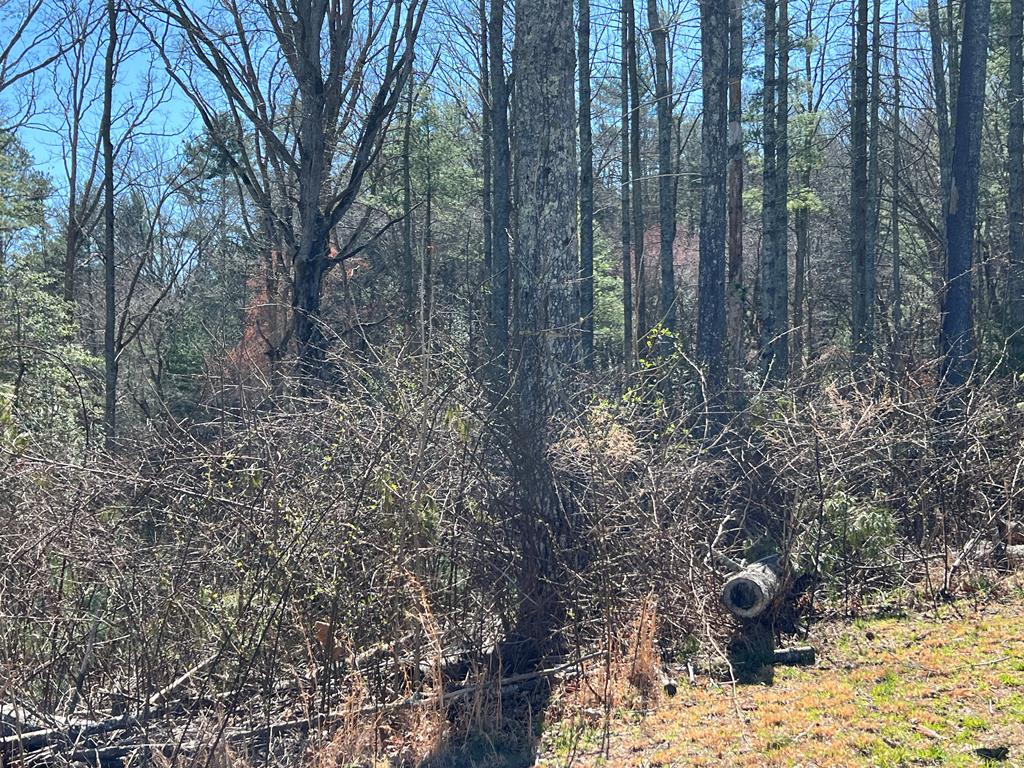 Lot 173 Highland Park