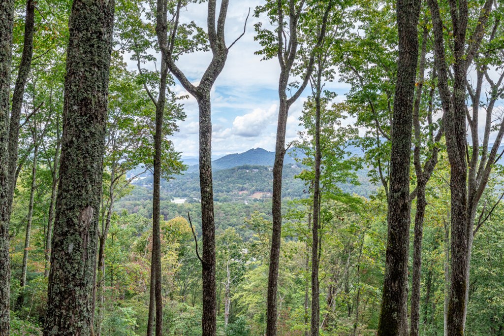 Lot 20 Buckhead Hills