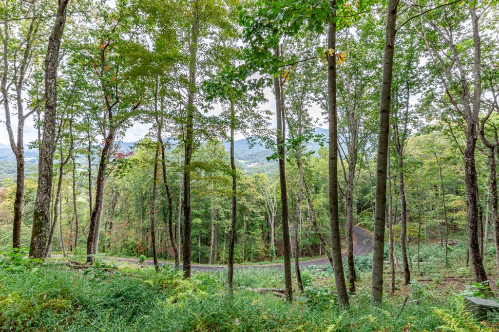 Lot 20 Buckhead Hills