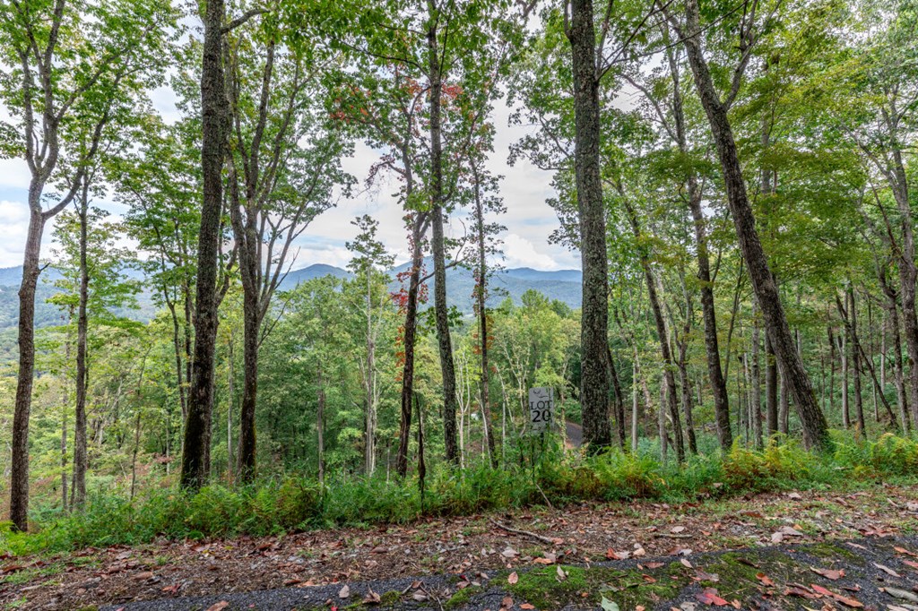 Lot 20 Buckhead Hills