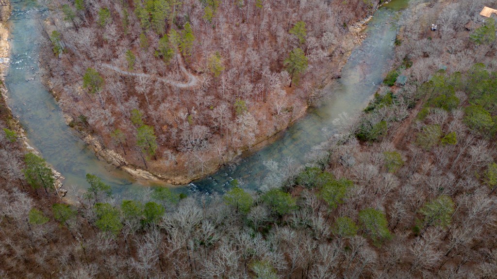 Ellijay, Georgia 30540, United States, ,Land,Active,63566