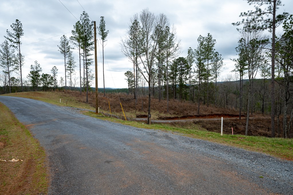 Ellijay, Georgia 30540, United States, ,Land,Active,63566