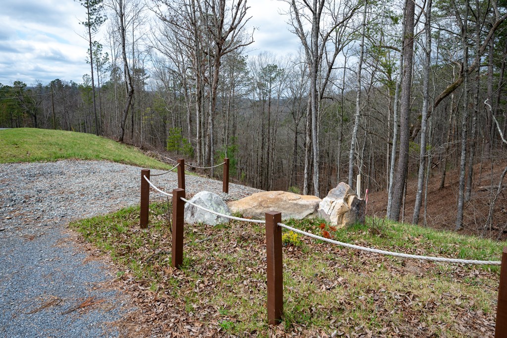 Ellijay, Georgia 30540, United States, ,Land,Active,63566