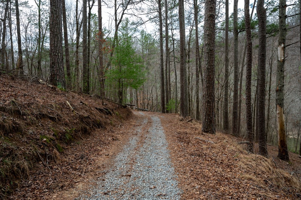 Ellijay, Georgia 30540, United States, ,Land,Active,63566