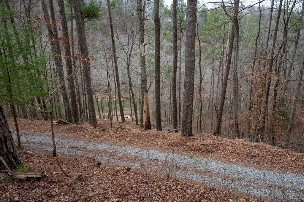 Ellijay, Georgia 30540, United States, ,Land,Active,63566