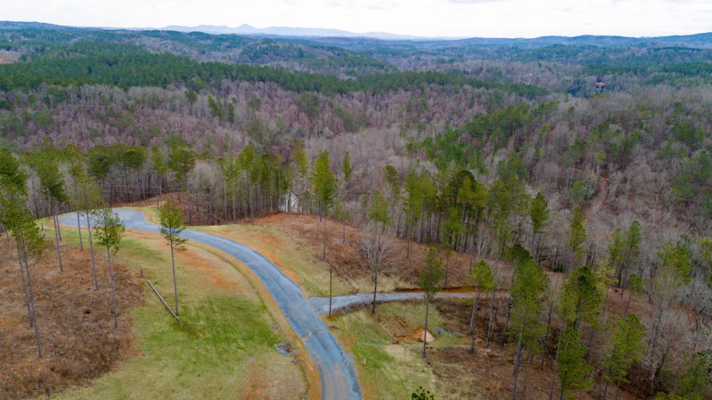 Ellijay, Georgia 30540, United States, ,Land,Active,63566