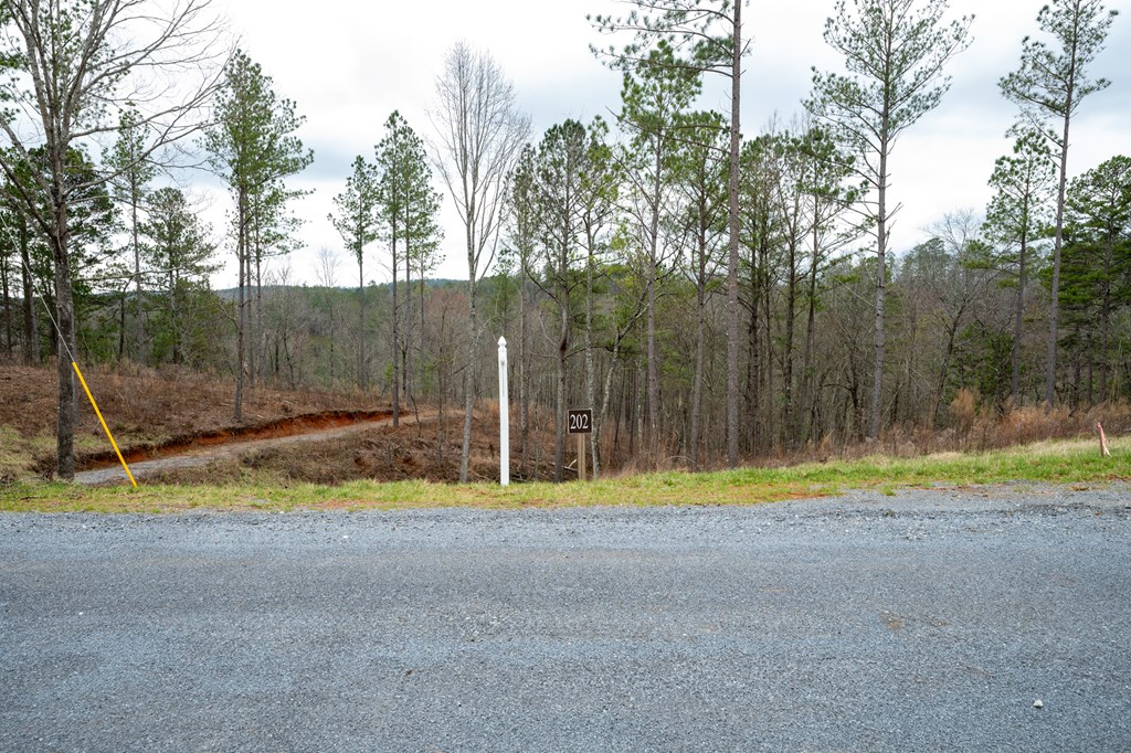 Ellijay, Georgia 30540, United States, ,Land,Active,63566