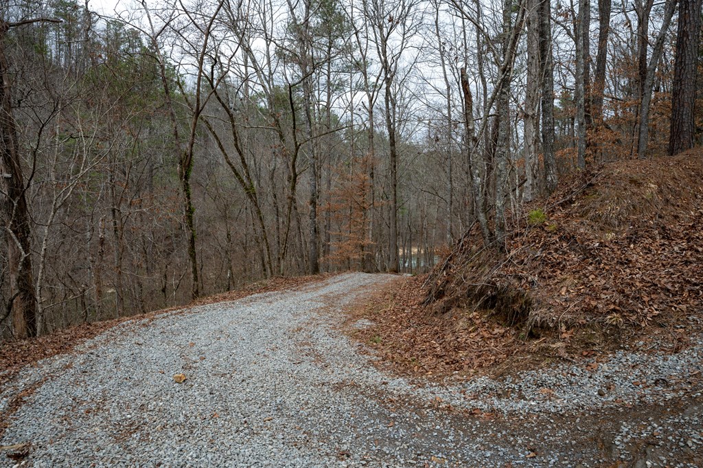 Ellijay, Georgia 30540, United States, ,Land,Active,63566