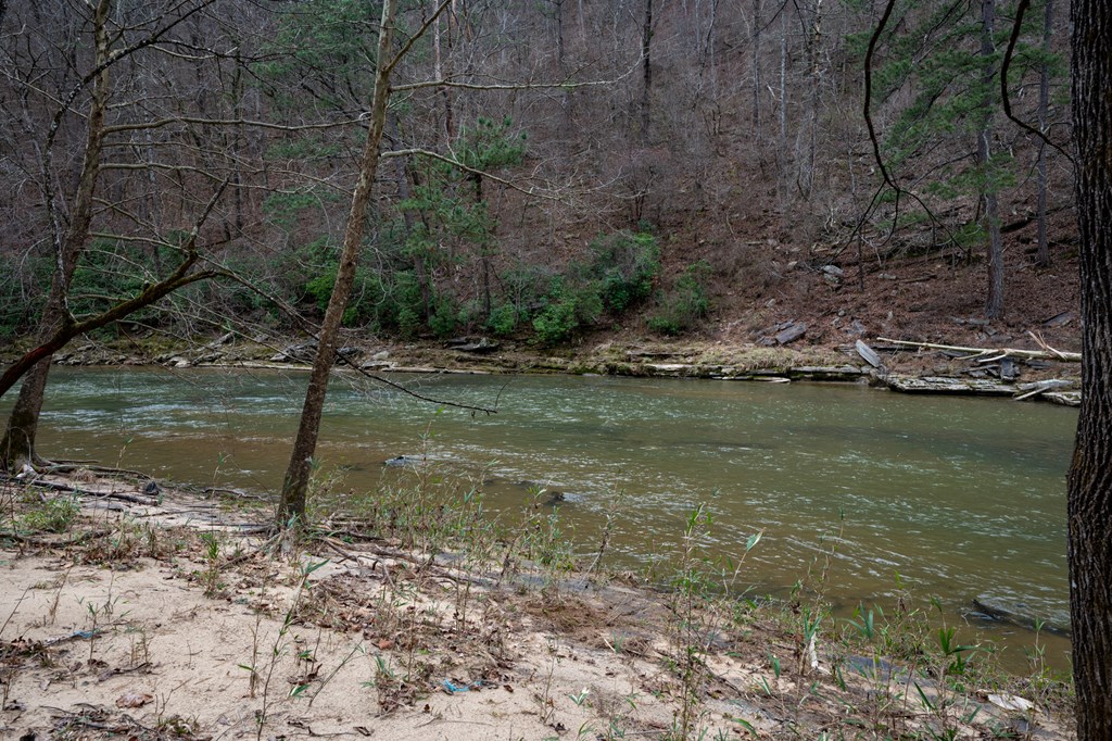 Ellijay, Georgia 30540, United States, ,Land,Active,63566