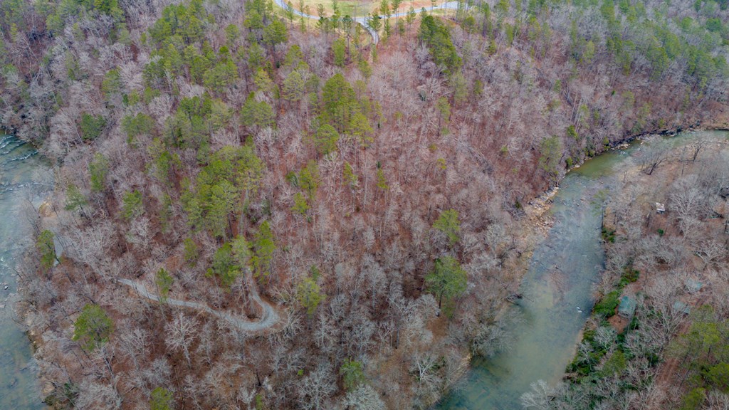 Ellijay, Georgia 30540, United States, ,Land,Active,63566