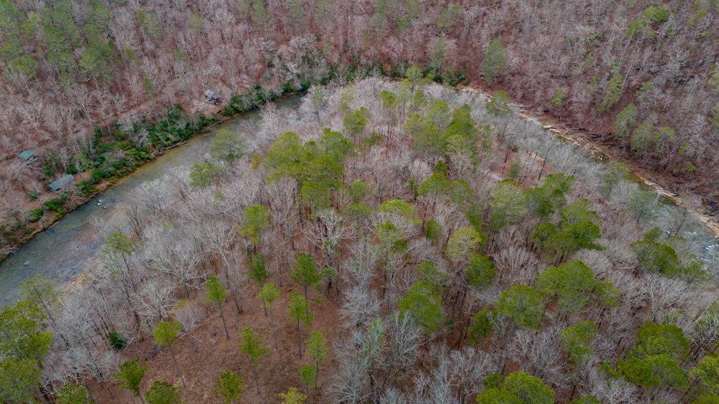 Ellijay, Georgia 30540, United States, ,Land,Active,63566