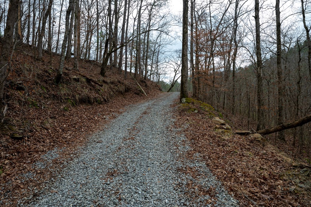 Ellijay, Georgia 30540, United States, ,Land,Active,63566