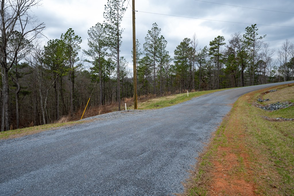 Ellijay, Georgia 30540, United States, ,Land,Active,63566