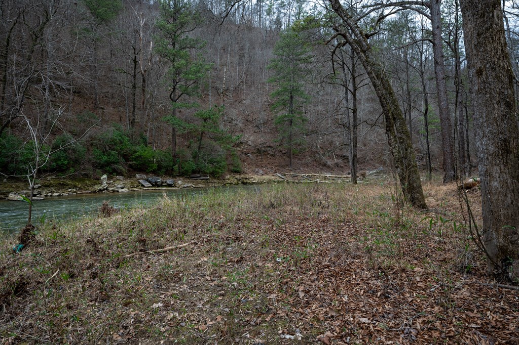 Ellijay, Georgia 30540, United States, ,Land,Active,63566