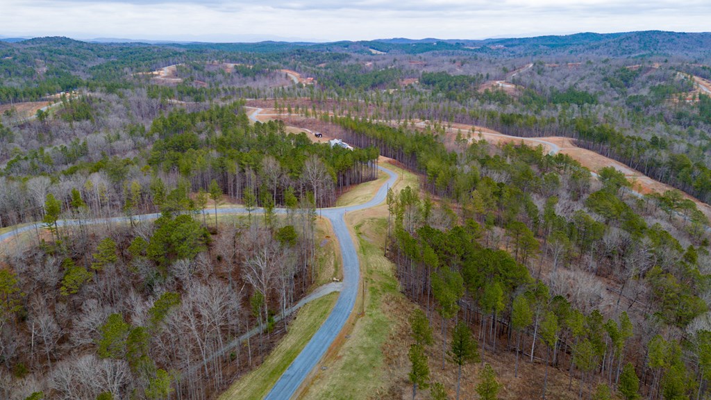 Ellijay, Georgia 30540, United States, ,Land,Active,63566